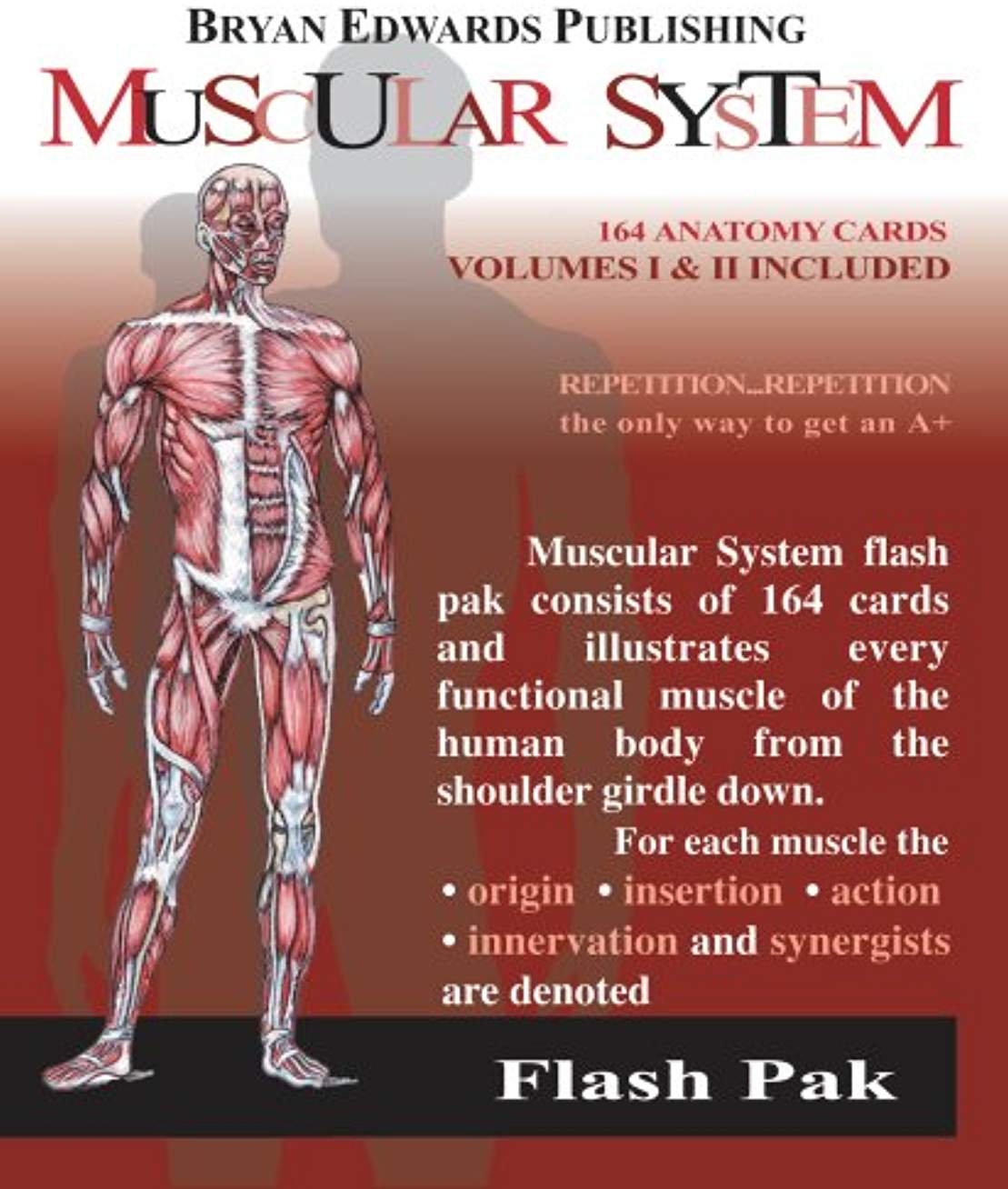 Mascular System Flash Cards 9781878576057