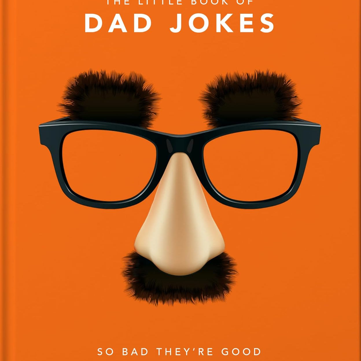 The Little Book Of Dad Jokes: by Hippo! Orange 9781911610434