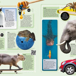 Guinness World Records 2026 by Guinness World Records 9781913484750_3