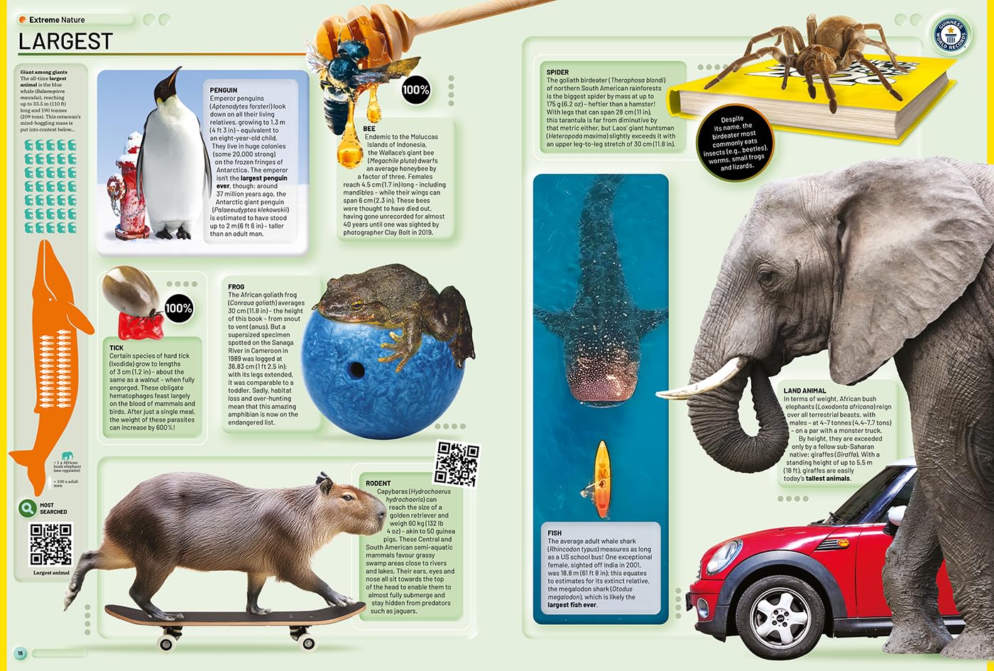 Guinness World Records 2026 by Guinness World Records 9781913484750_3