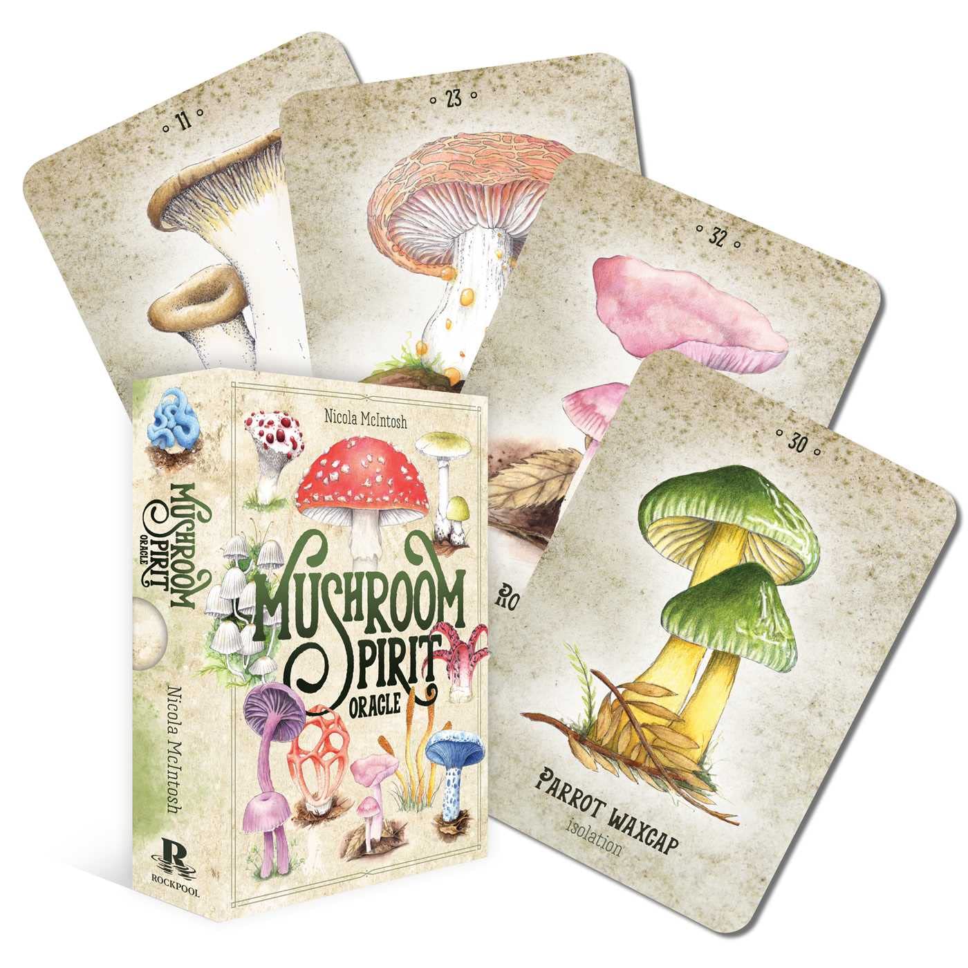 Mushroom Spirit Oracle - Mcintosh. Nicola 9781922785046
