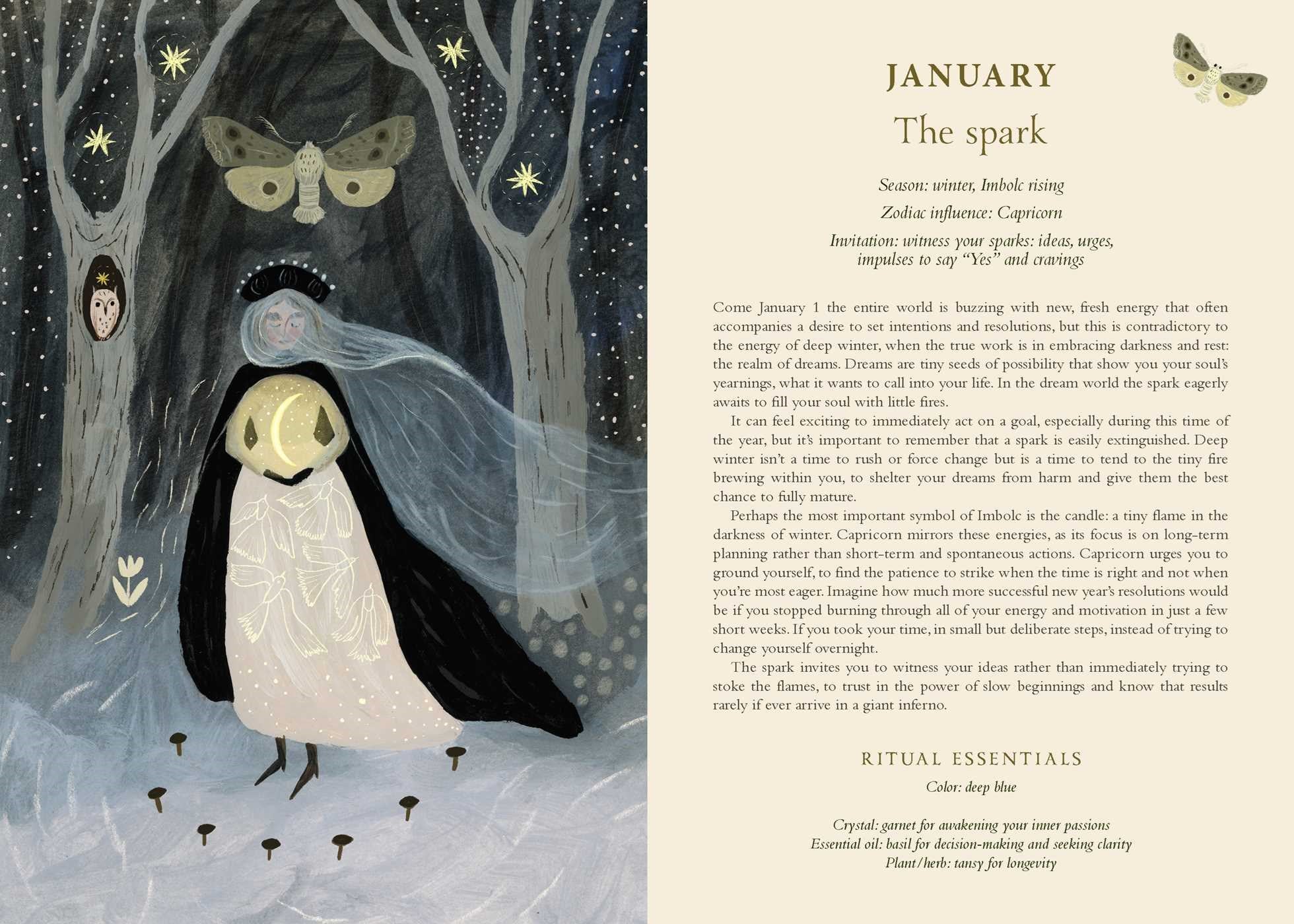 2027 Seasons of the Witch Planner Calendar 20 9781923208681_1