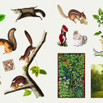 The Sticker Treasury Of Woodland Adventures by Smith Street Books 9781923239388_1