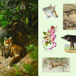 The Sticker Treasury Of Woodland Adventures by Smith Street Books 9781923239388_5