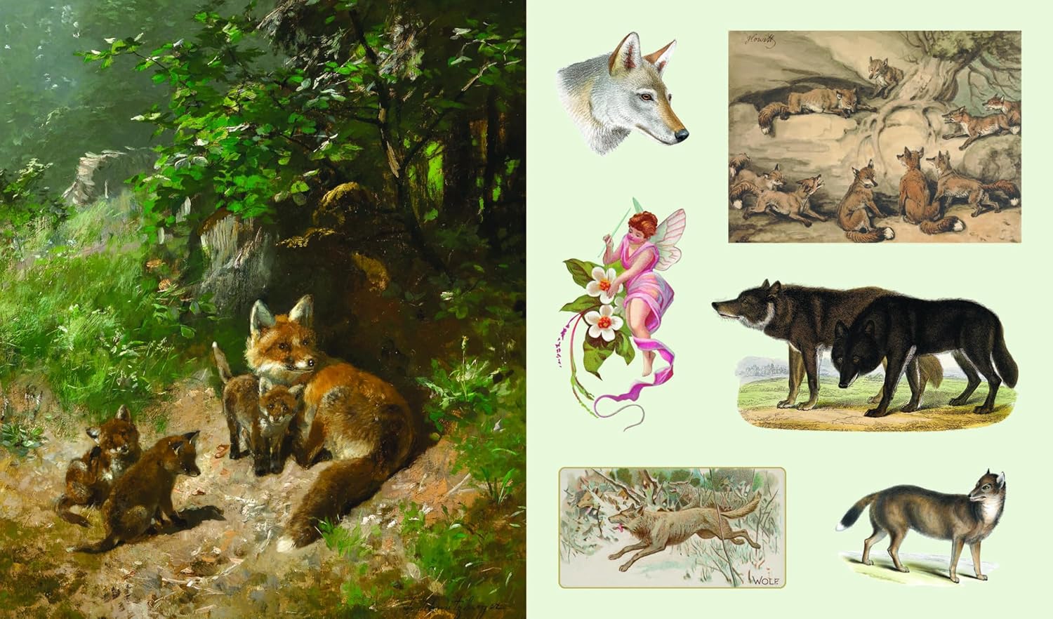 The Sticker Treasury Of Woodland Adventures by Smith Street Books 9781923239388_5