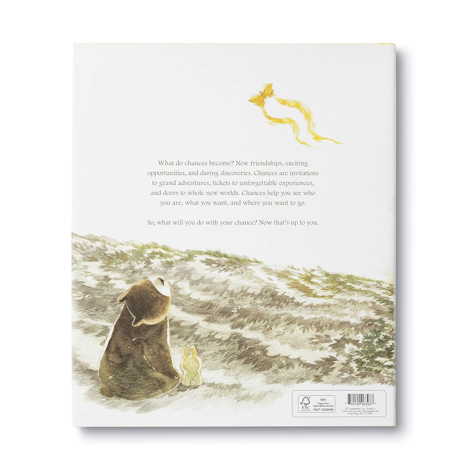 What Do You Do With A Chance Childrens Picture Book 9781943200733_1