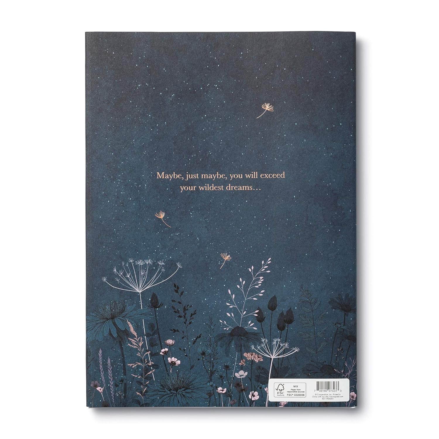 Maybe: A Story About the Endless Potential In All of Us by Yamada. Kobi 9781946873750_9