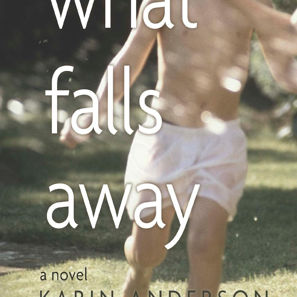 What Falls Away by Anderson. Karin 9781948814799