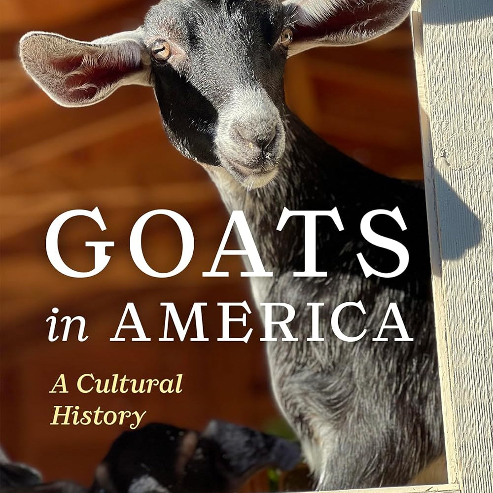 Goats In America by Parr. Tami 9781962645454