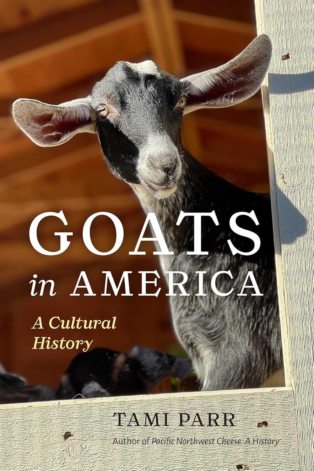 Goats In America by Parr. Tami 9781962645454