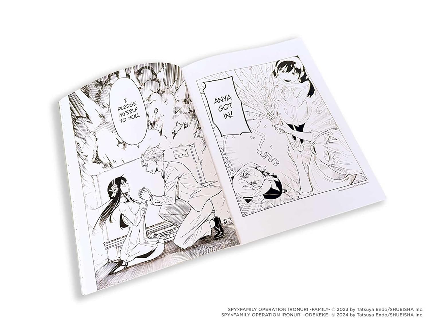 Spy X Family: The Official Coloring Book by Endo. Tatsuya 9781974751433_2