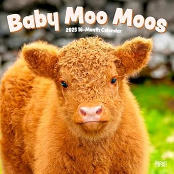 Baby Moo Moos 2025 Wall Calendar 9781975476588