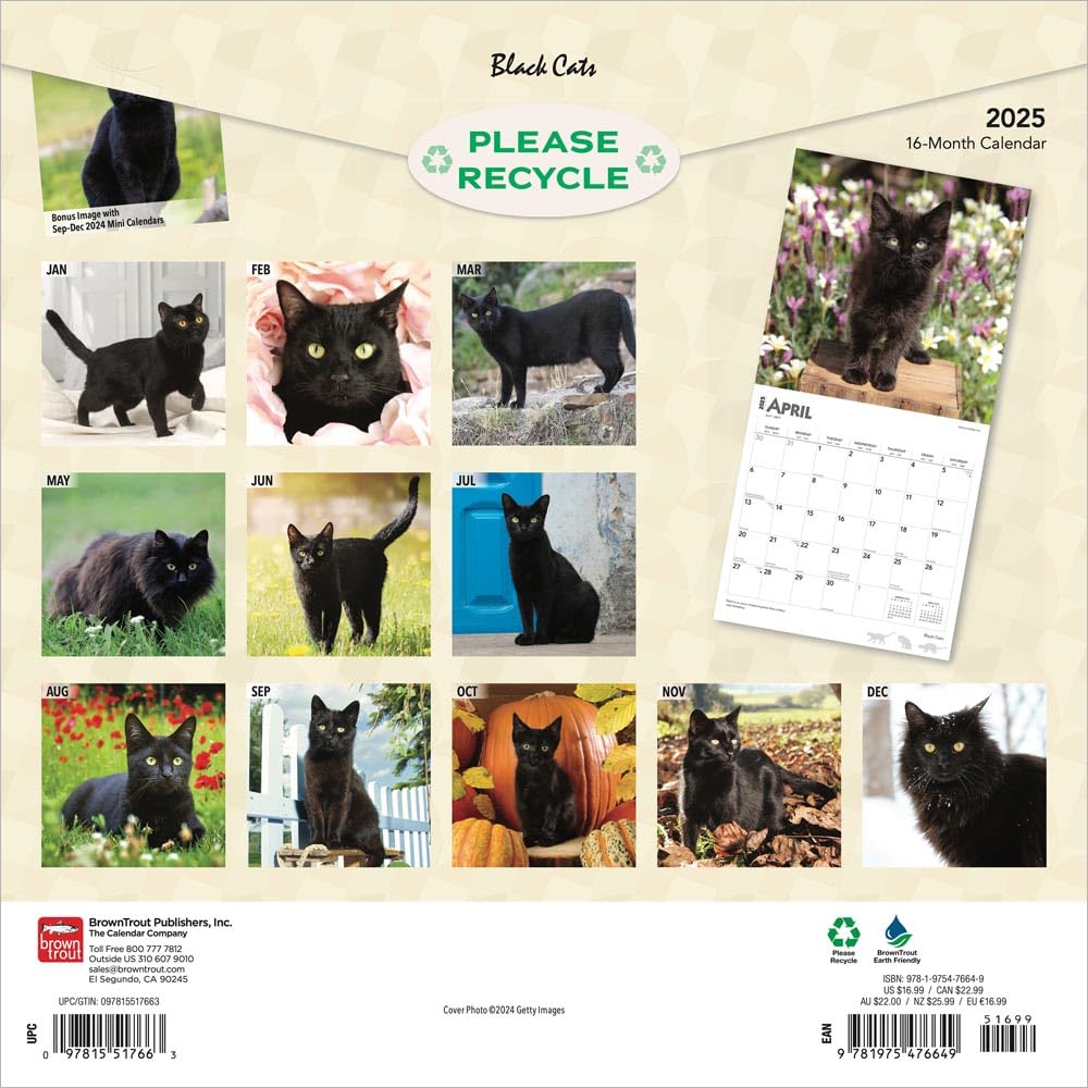 Black Cats 2025 Wall Calendar 9781975476649_1