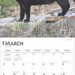 Black Cats 2025 Wall Calendar 9781975476649_2