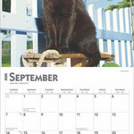 Black Cats 2025 Wall Calendar 9781975476649_3