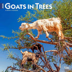 Goats In Trees 2025 Wall Calendar 9781975477059