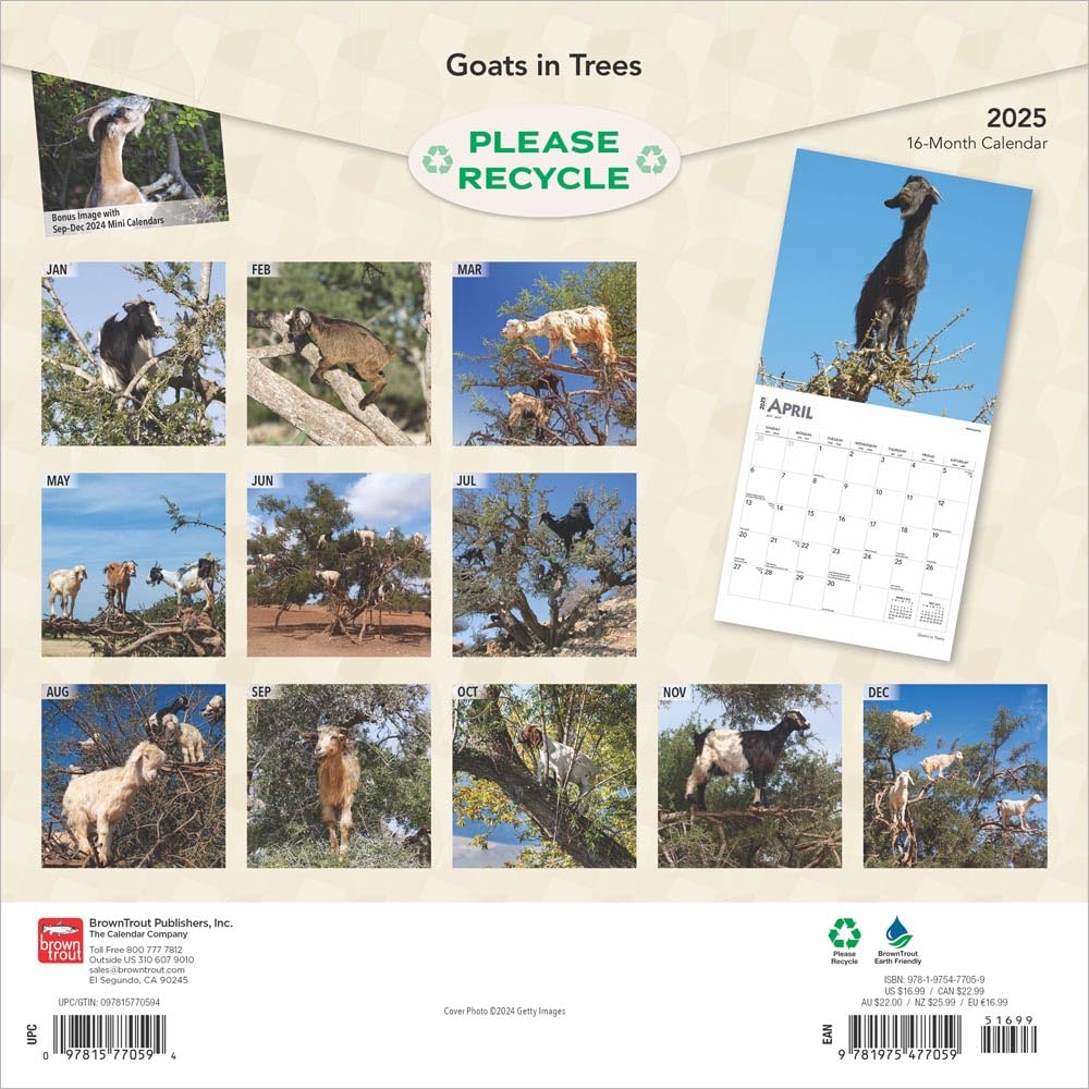 Goats In Trees 2025 Wall Calendar 9781975477059_1