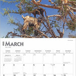 Goats In Trees 2025 Wall Calendar 9781975477059_2