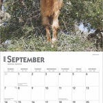 Goats In Trees 2025 Wall Calendar 9781975477059_3