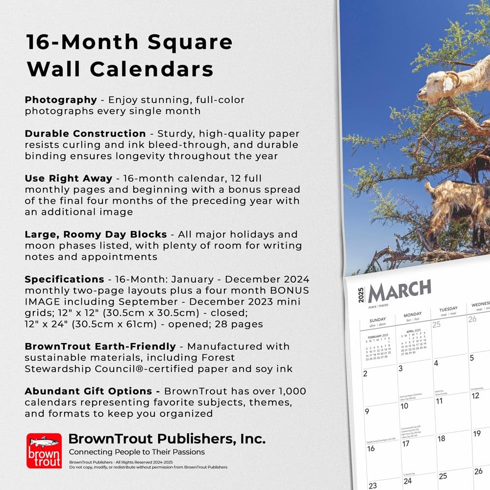 Goats In Trees 2025 Wall Calendar 9781975477059_5