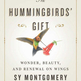 The Hummingbirds' Gift by Montgomery. Sy 9781982176082_ecbc2bab-6c85-4a8d-88ca-ce099dc2dbbe