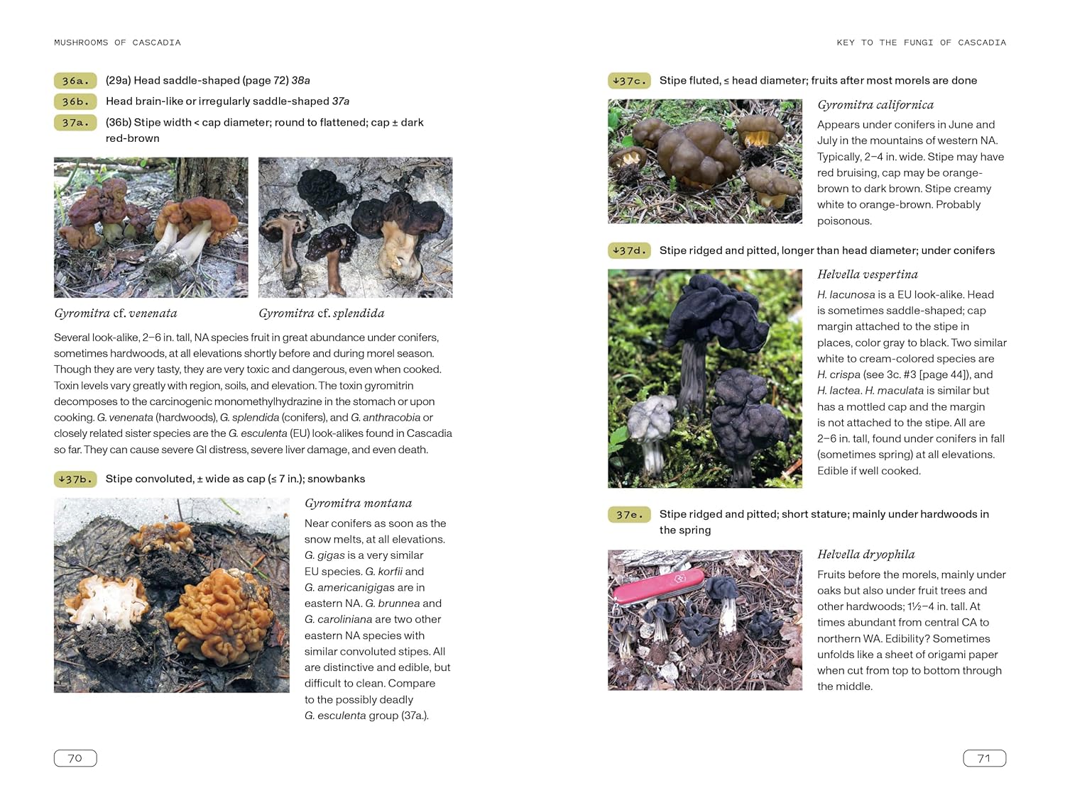 Mushrooms Of Cascadia, 2Nd Ed.: Illustrated Key To The Fungi Pnw by Beug. Michae 9781984863478_4