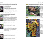 Mushrooms Of Cascadia, 2Nd Ed.: Illustrated Key To The Fungi Pnw by Beug. Michae 9781984863478_6