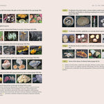 Mushrooms Of Cascadia, 2Nd Ed.: Illustrated Key To The Fungi Pnw by Beug. Michae 9781984863478_9