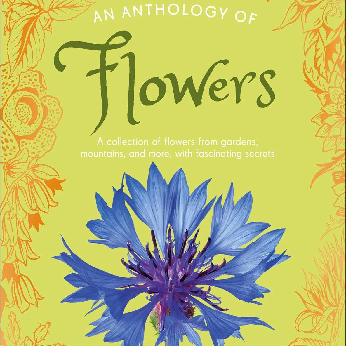 An Anthology Of Flowers by Dk 20 9798217133956_f786e402-b7c8-48ec-a566-144ffdfe3135