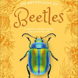 DK An Anthology Of Beetles by Jones. Richard 20 9798217134090