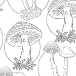Facinating Fungi: Over 75 Mushroom Wonders To Color by Dk 9798217137756_1