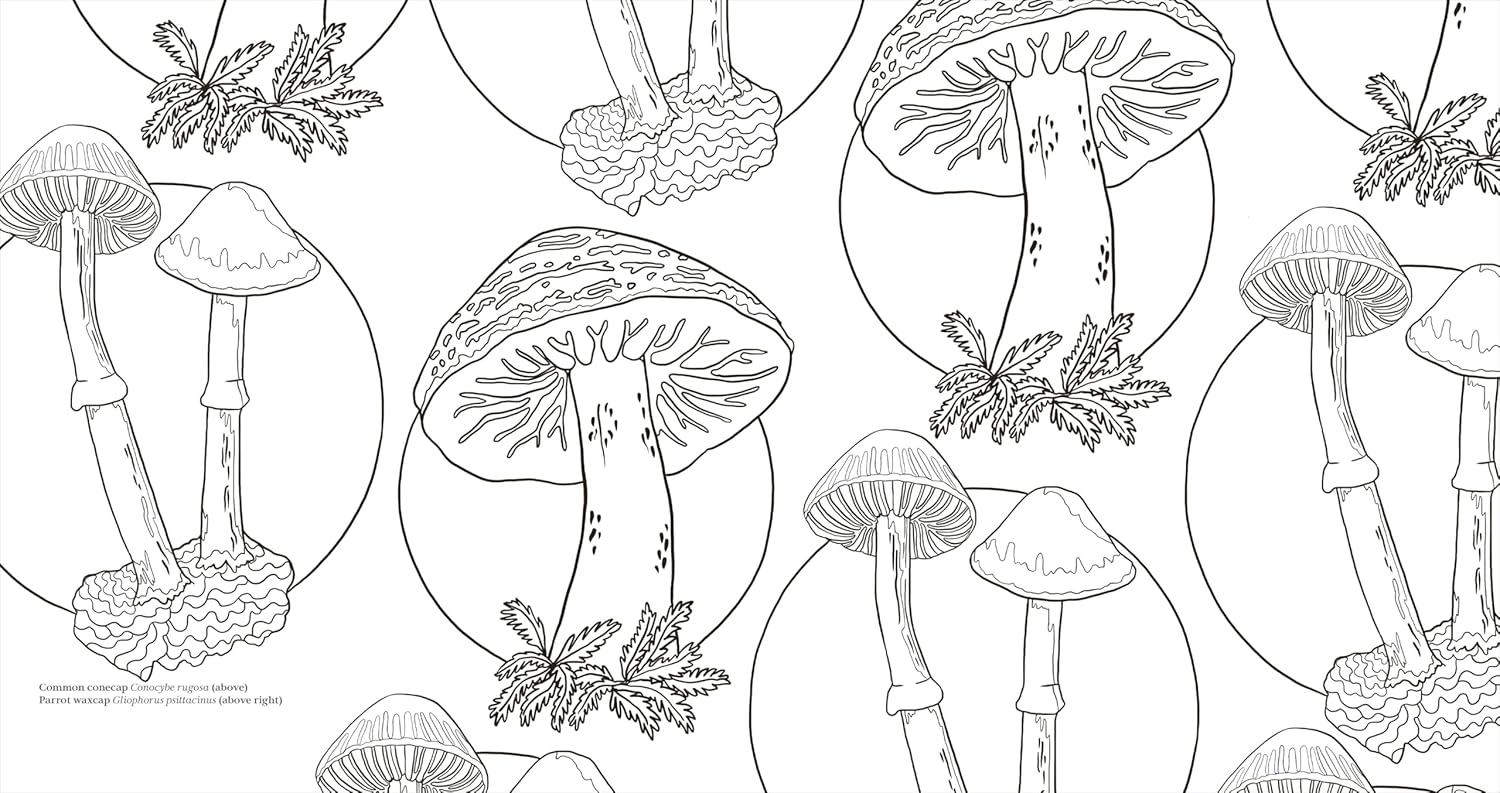 Facinating Fungi: Over 75 Mushroom Wonders To Color by Dk 9798217137756_1