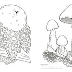 Facinating Fungi: Over 75 Mushroom Wonders To Color by Dk 9798217137756_2