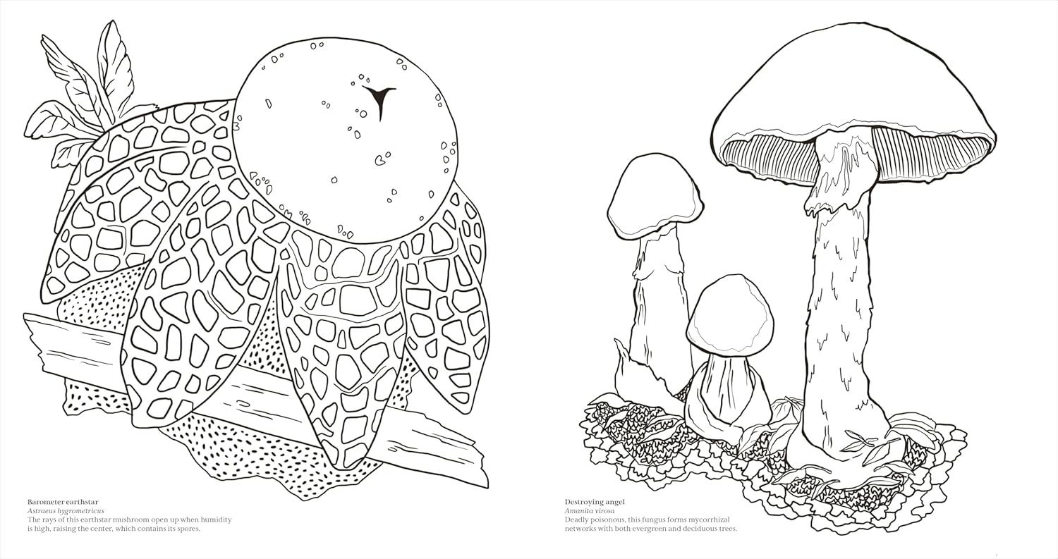 Facinating Fungi: Over 75 Mushroom Wonders To Color by Dk 9798217137756_2