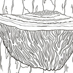 Facinating Fungi: Over 75 Mushroom Wonders To Color by Dk 9798217137756_3