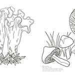 Facinating Fungi: Over 75 Mushroom Wonders To Color by Dk 9798217137756_4