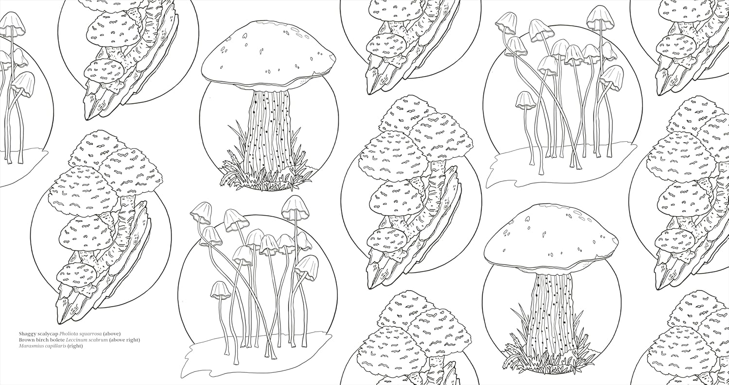 Facinating Fungi: Over 75 Mushroom Wonders To Color by Dk 9798217137756_5