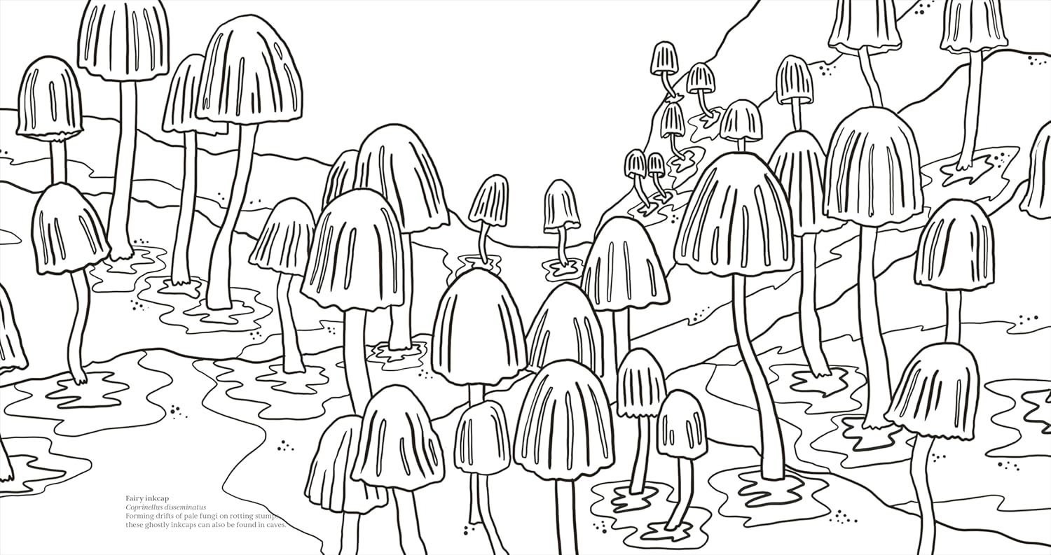 Facinating Fungi: Over 75 Mushroom Wonders To Color by Dk 9798217137756_6