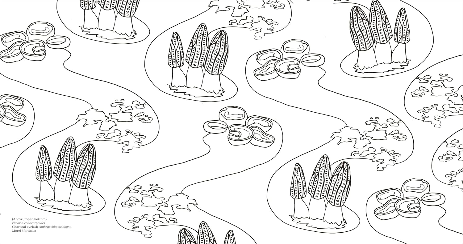 Facinating Fungi: Over 75 Mushroom Wonders To Color by Dk 9798217137756_7