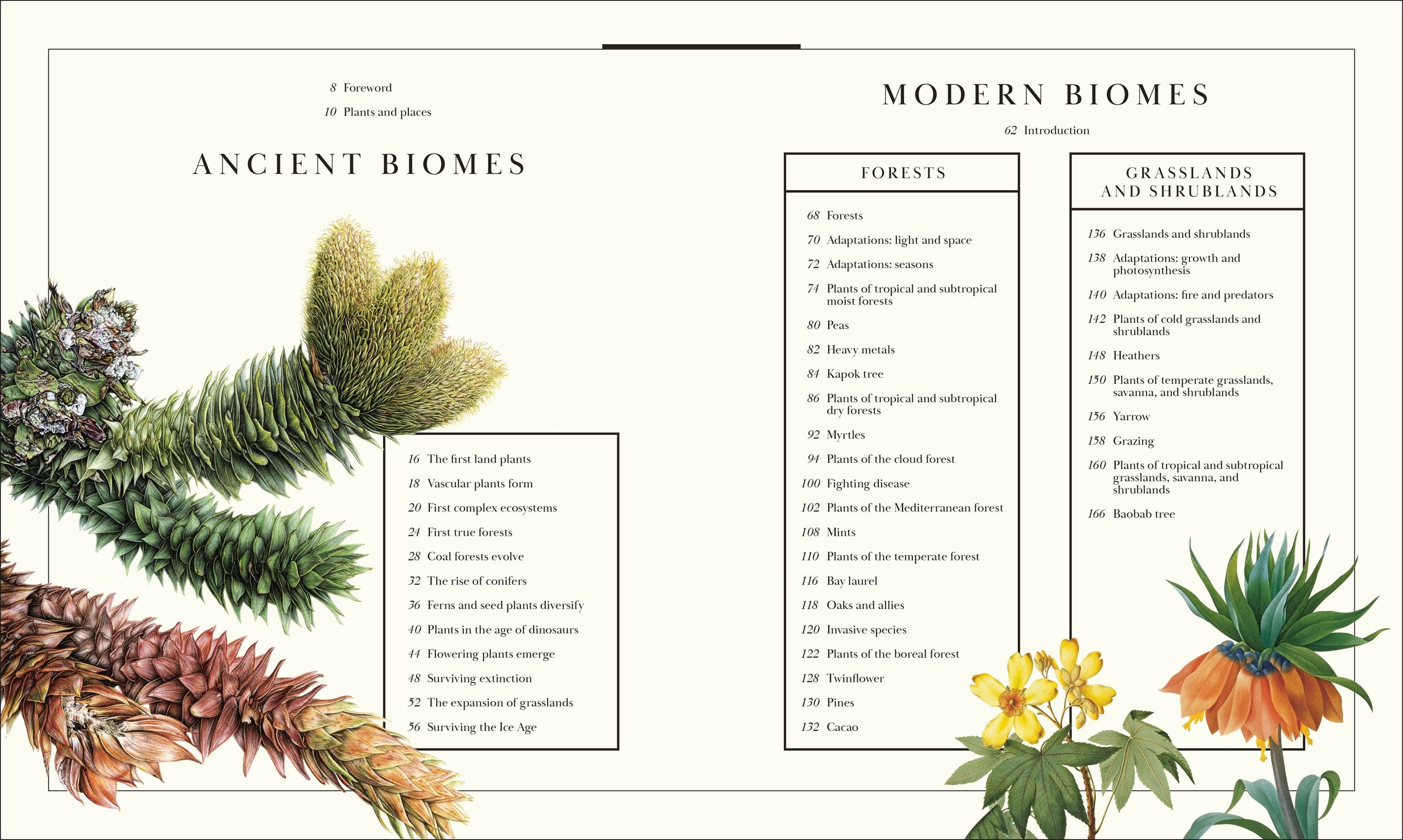Atlas of Botany: An Exploration of Plants Across Time and Around the World by DK 20 9798217139453_1