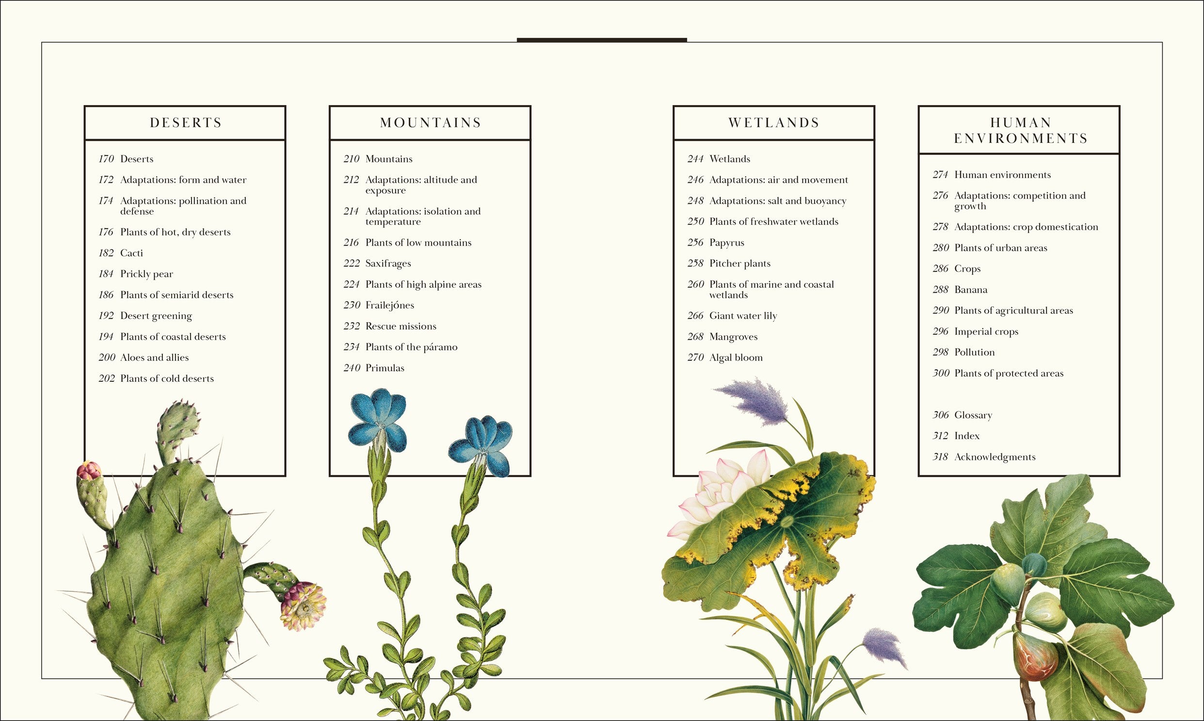 Atlas of Botany: An Exploration of Plants Across Time and Around the World by DK 20 9798217139453_2