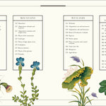 Atlas of Botany: An Exploration of Plants Across Time and Around the World by DK 20 9798217139453_2