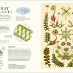 Atlas of Botany: An Exploration of Plants Across Time and Around the World by DK 20 9798217139453_3