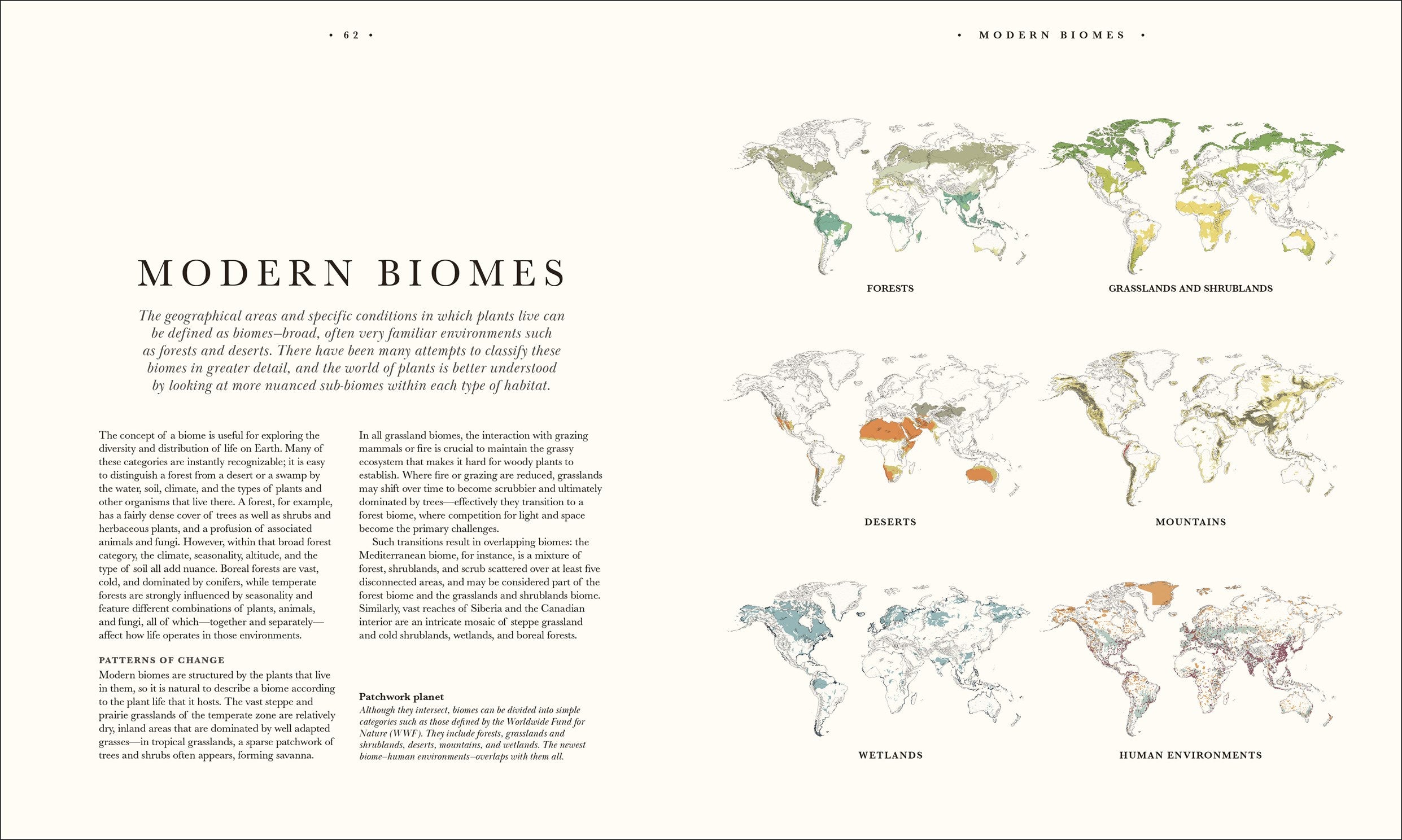 Atlas of Botany: An Exploration of Plants Across Time and Around the World by DK 20 9798217139453_5
