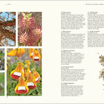 Atlas of Botany: An Exploration of Plants Across Time and Around the World by DK 20 9798217139453_6