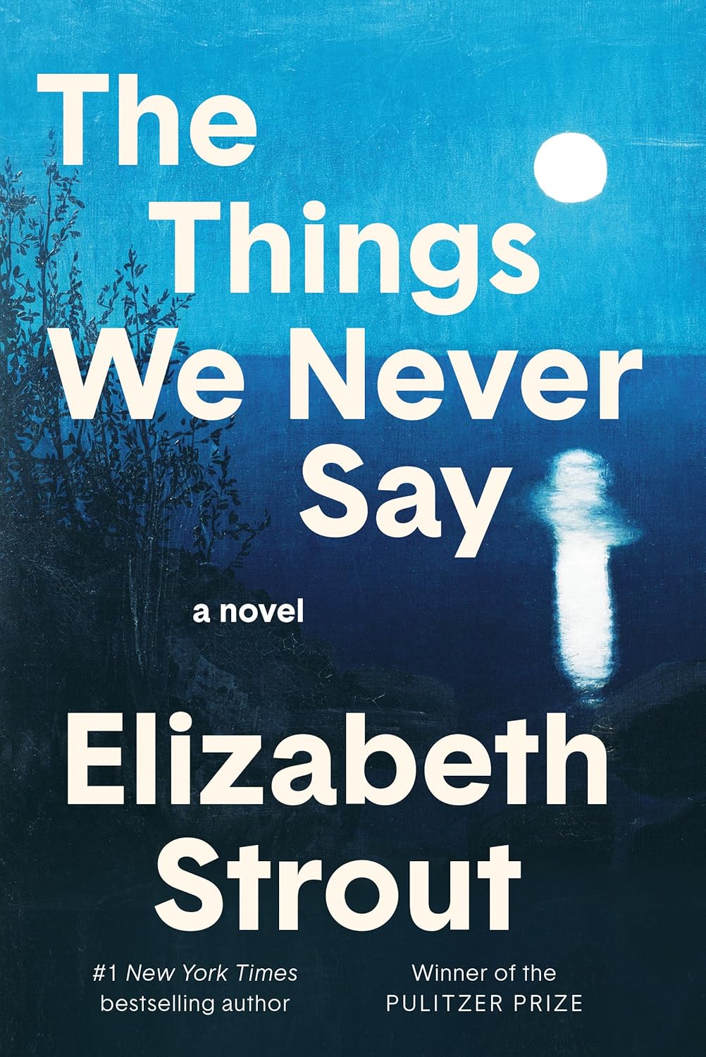 The Things We Never Say by Strout. Elizabeth 20 9798217154746