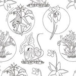 Wolderful Wildflowers Coloring Book by Dk 20 9798217306596_1