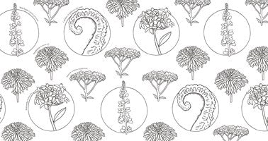 Wolderful Wildflowers Coloring Book by Dk 20 9798217306596_2