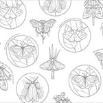 Extroidinary Insects Coloring Book by Dk 20 9798217306602_1