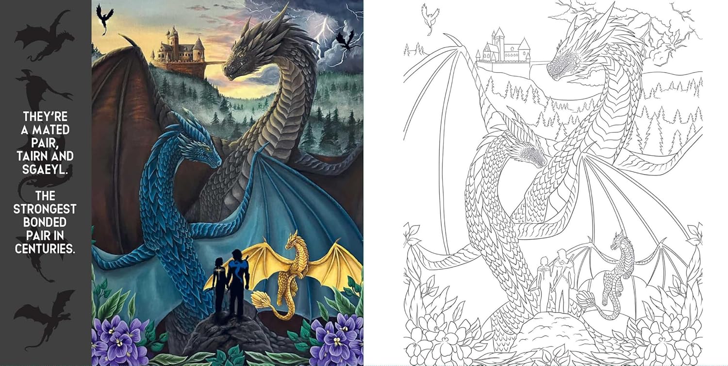 Fourth Wing: Official Coloring Book by Entangled 9798881604165_2